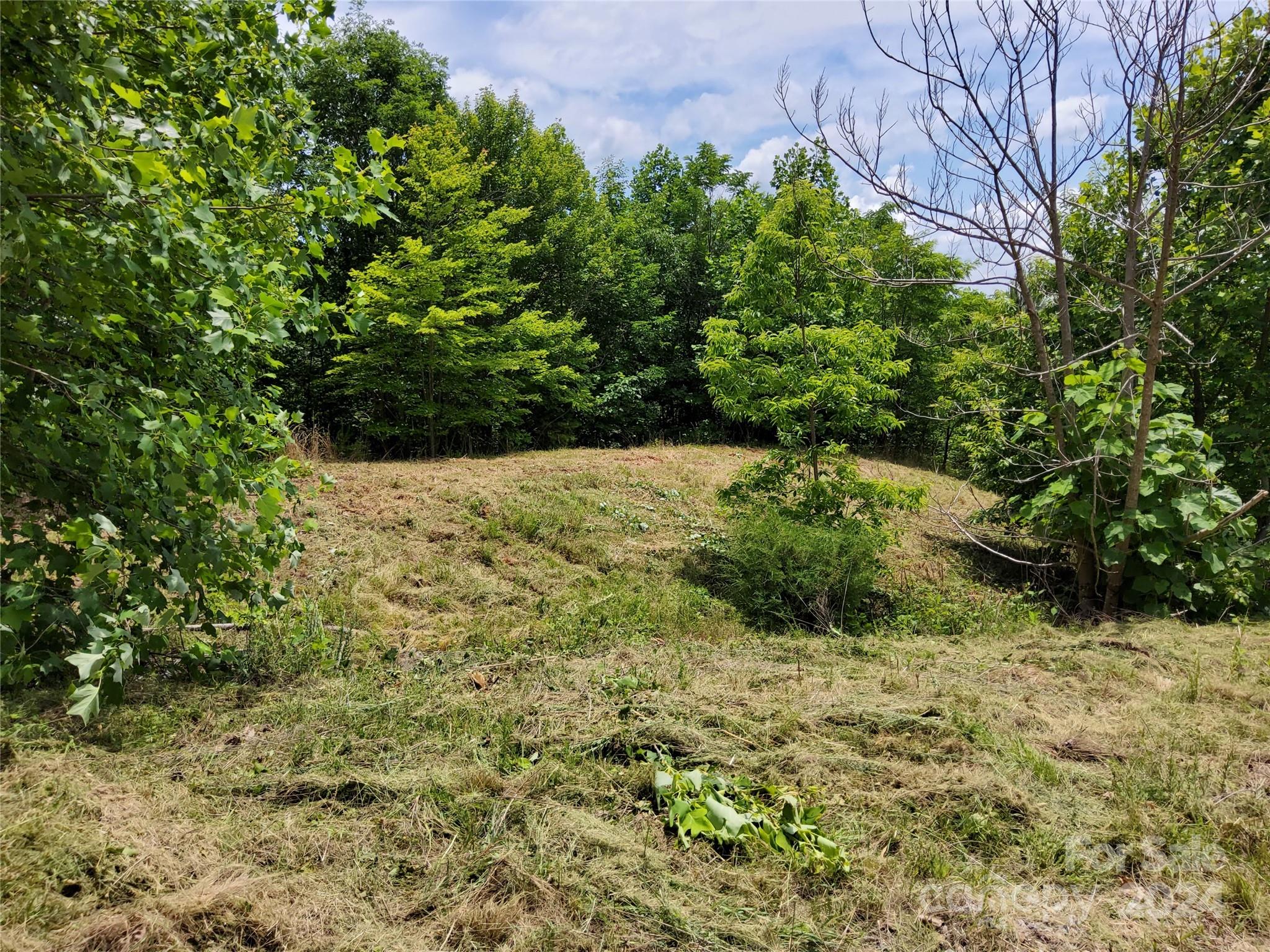 0 Bear Cliff Way Lake Lure NC 28746