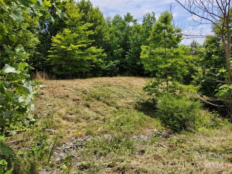 0 Bear Cliff Way Lake Lure NC 28746