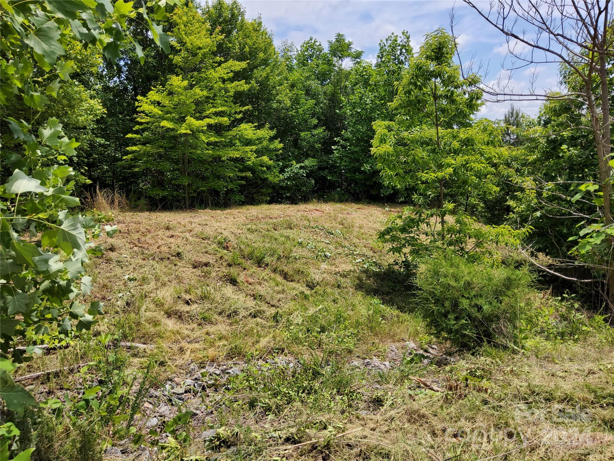 0 Bear Cliff Way Lake Lure NC 28746