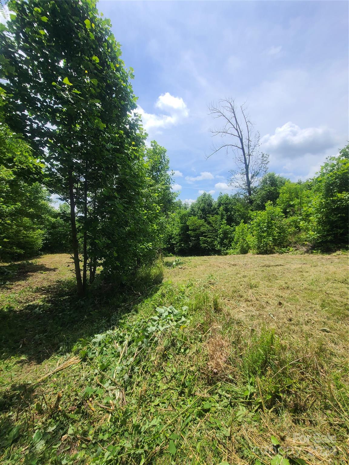 0 Bear Cliff Way Lake Lure NC 28746