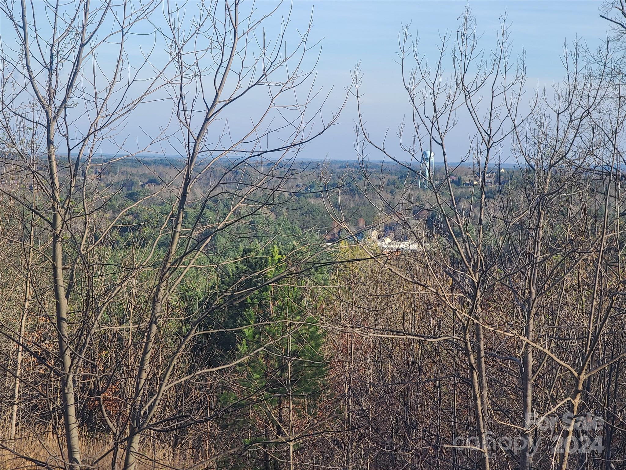 0 Bear Cliff Way Lake Lure NC 28746