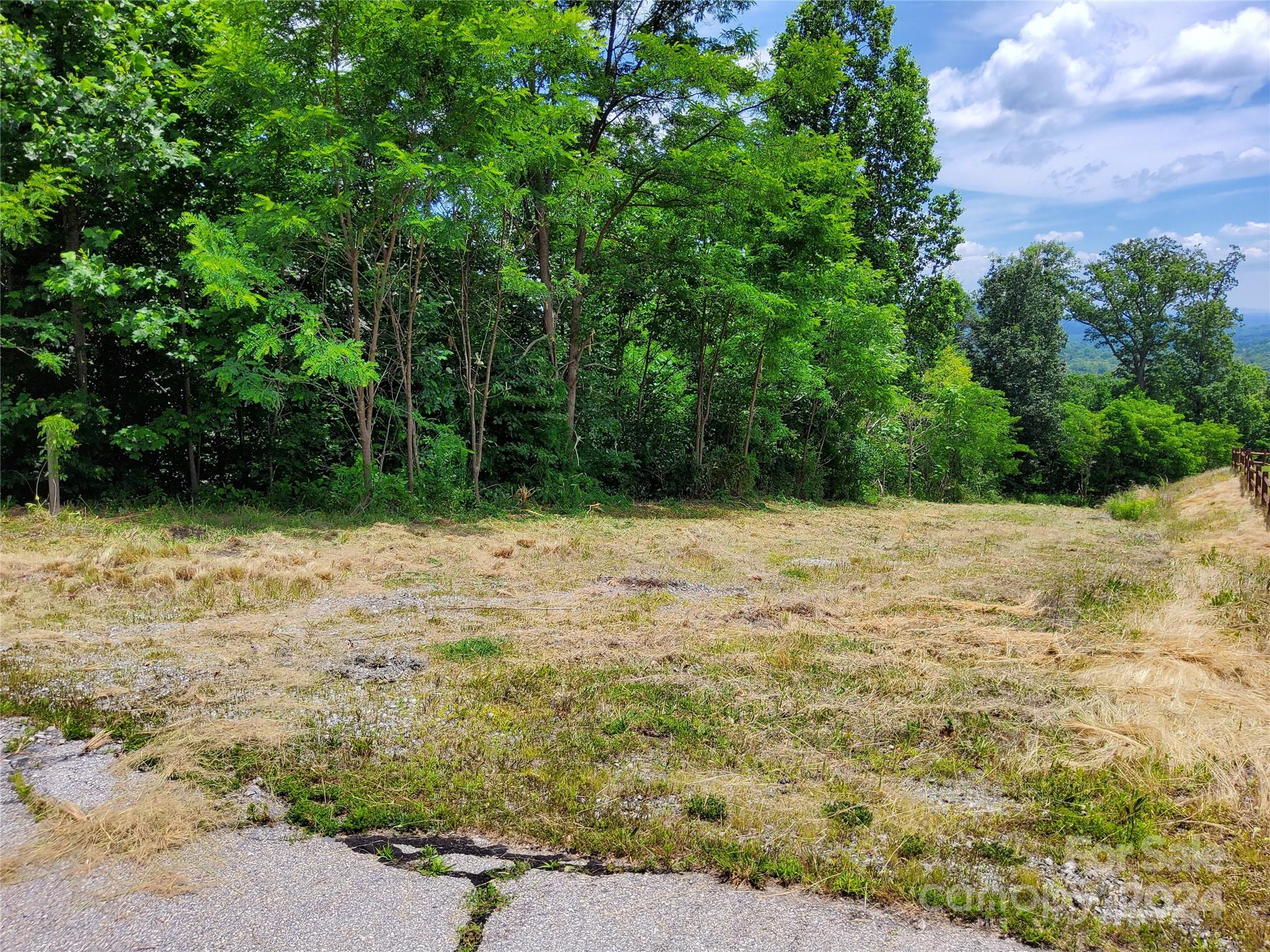 0 Bear Cliff Way Lake Lure NC 28746