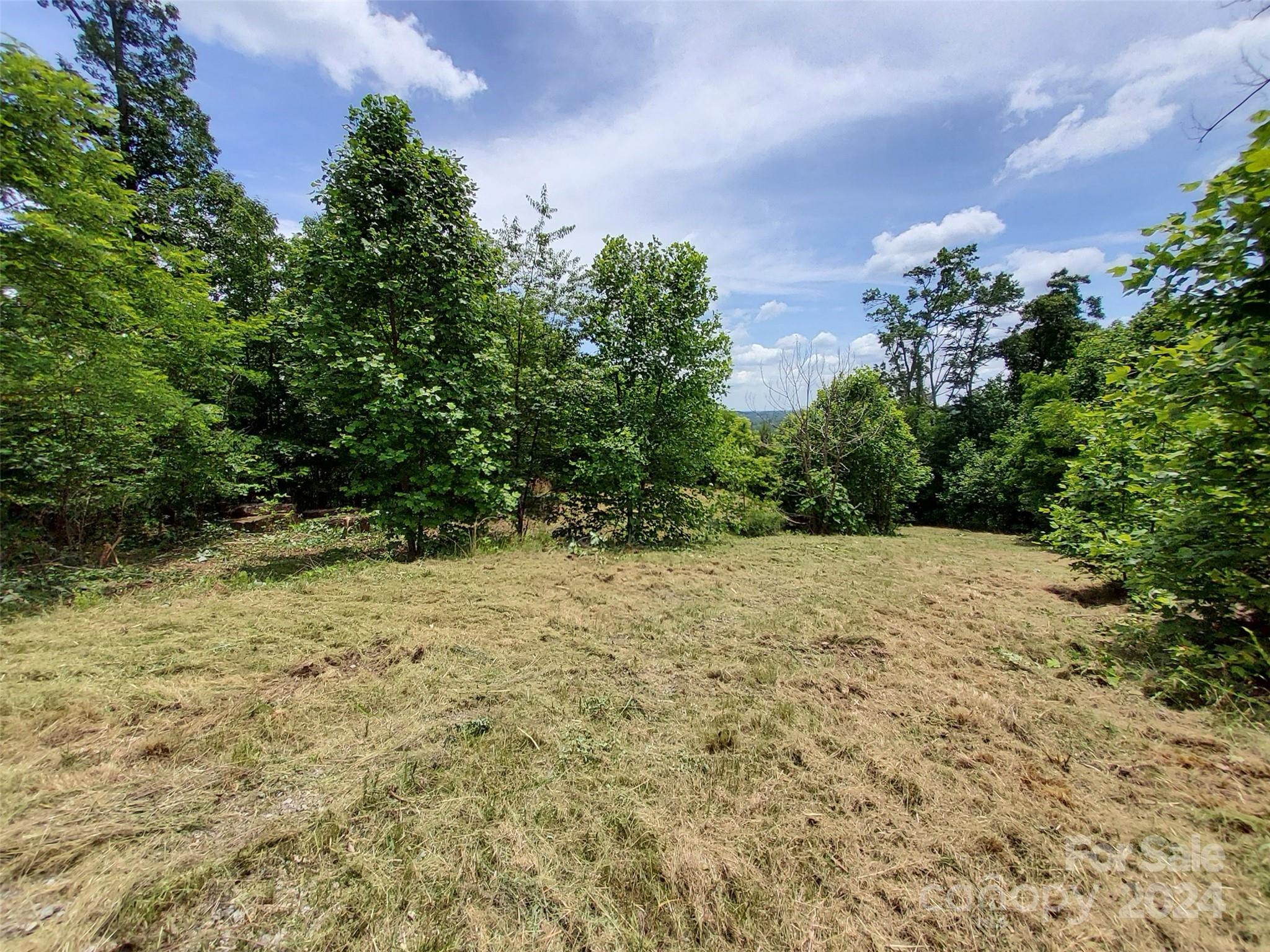 0 Bear Cliff Way Lake Lure NC 28746