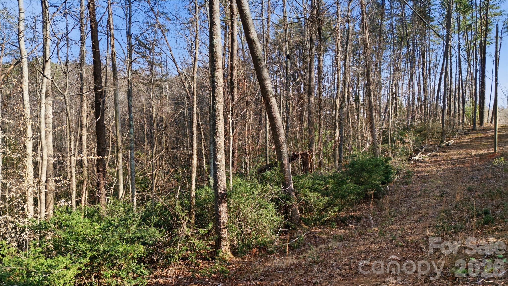 0 Hooker Road Tryon NC 28782
