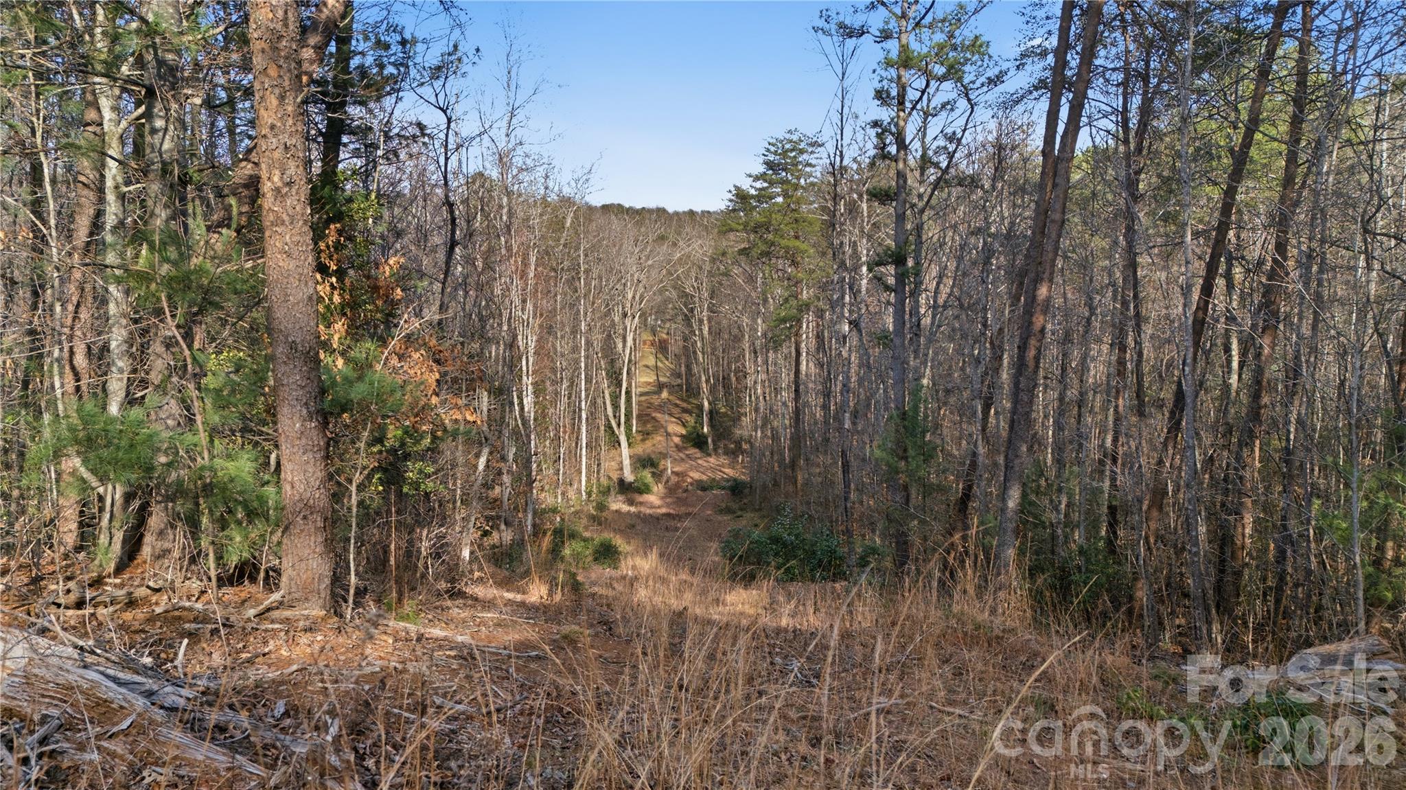 0 Hooker Road Tryon NC 28782