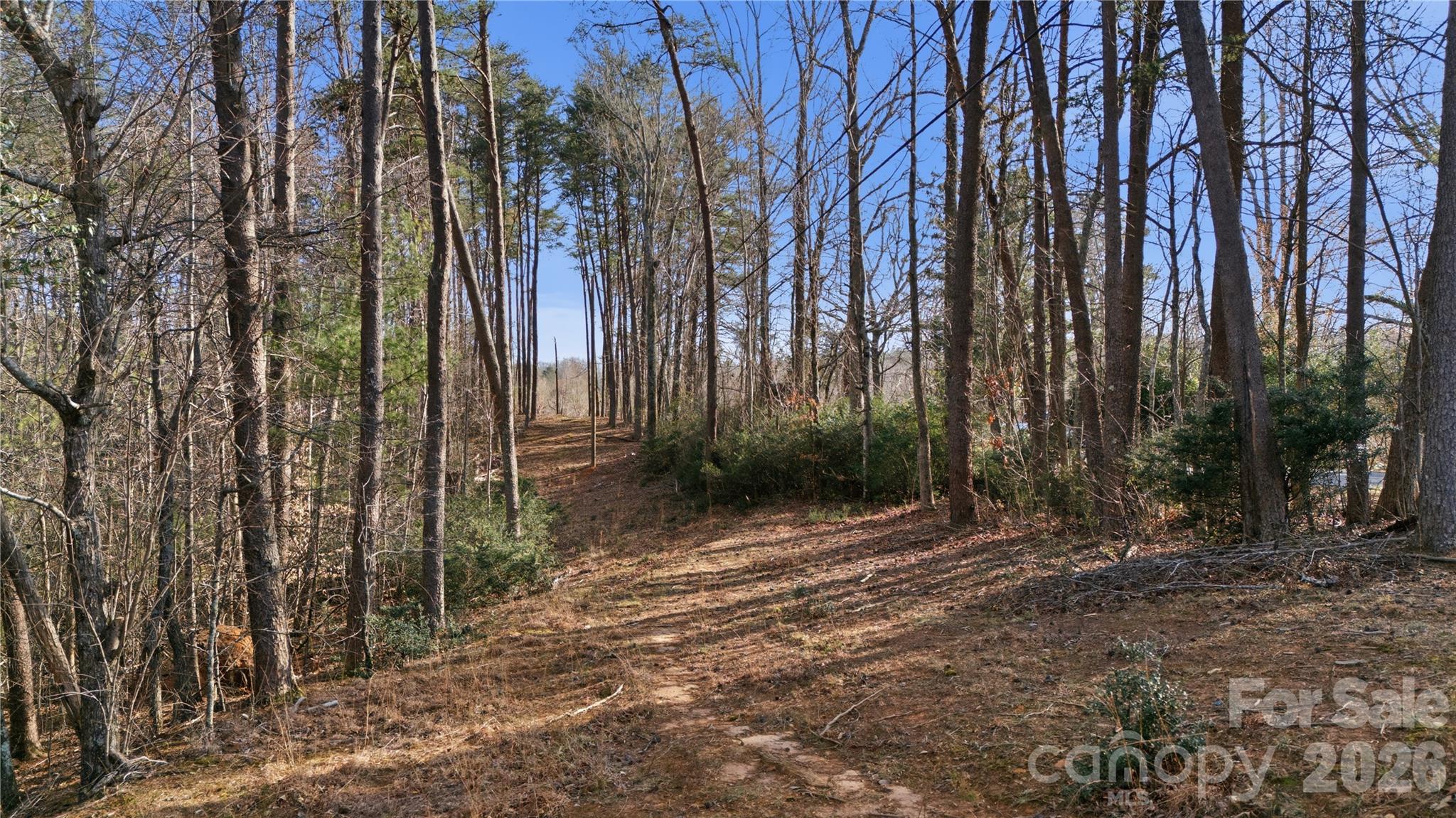 0 Hooker Road Tryon NC 28782