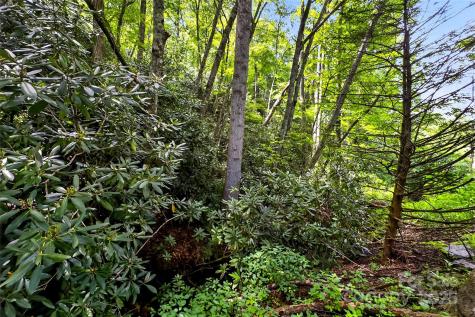 99999 Yates Avenue Black Mountain NC 28711