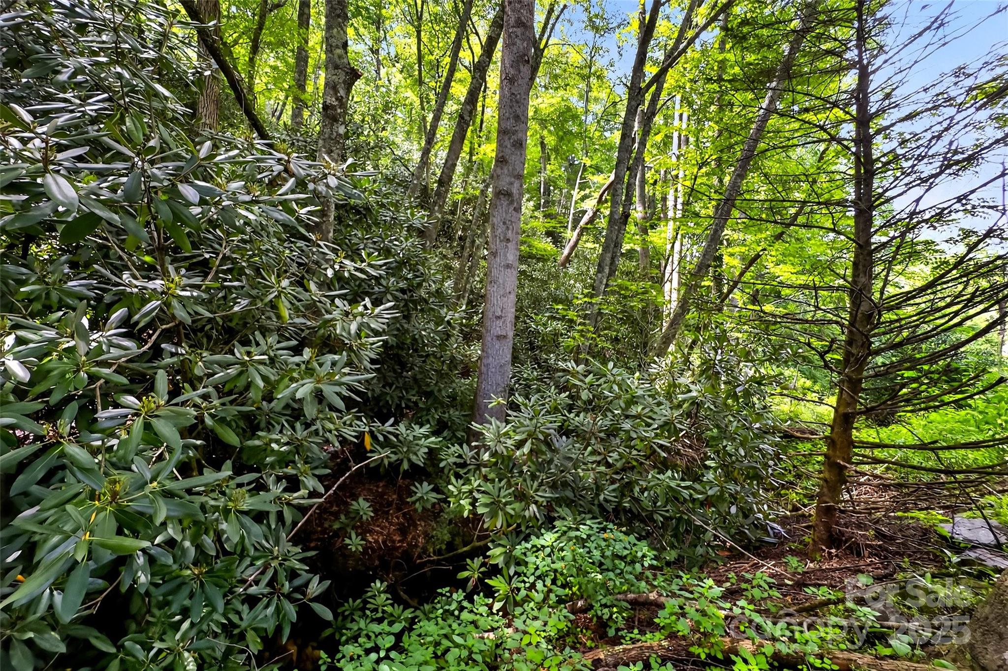 99999 Yates Avenue Black Mountain NC 28711