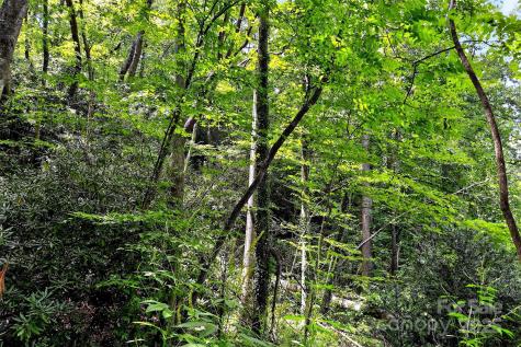 99999 Yates Avenue Black Mountain NC 28711