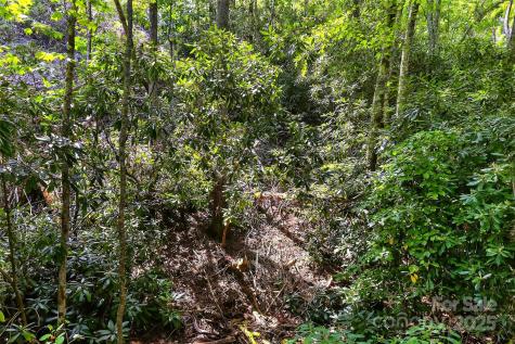 99999 Yates Avenue Black Mountain NC 28711