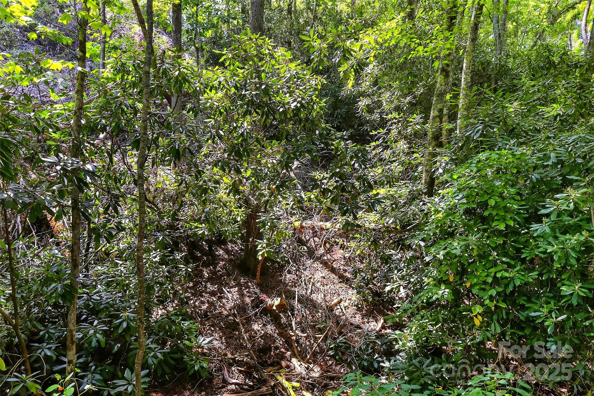 99999 Yates Avenue Black Mountain NC 28711