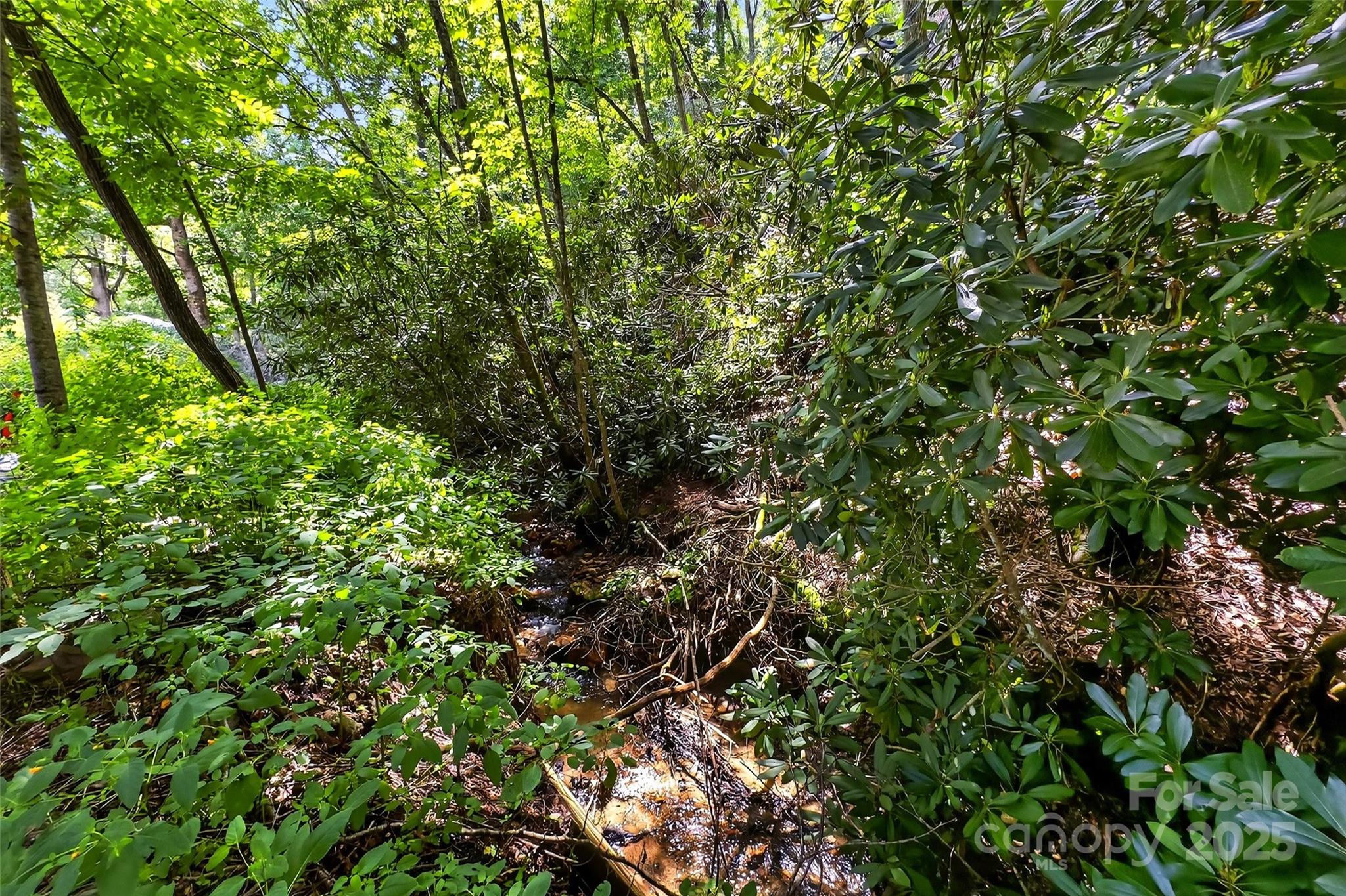 99999 Yates Avenue Black Mountain NC 28711
