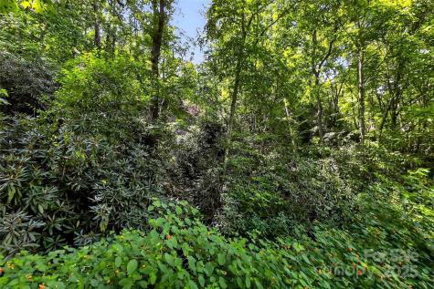 99999 Yates Avenue Black Mountain NC 28711
