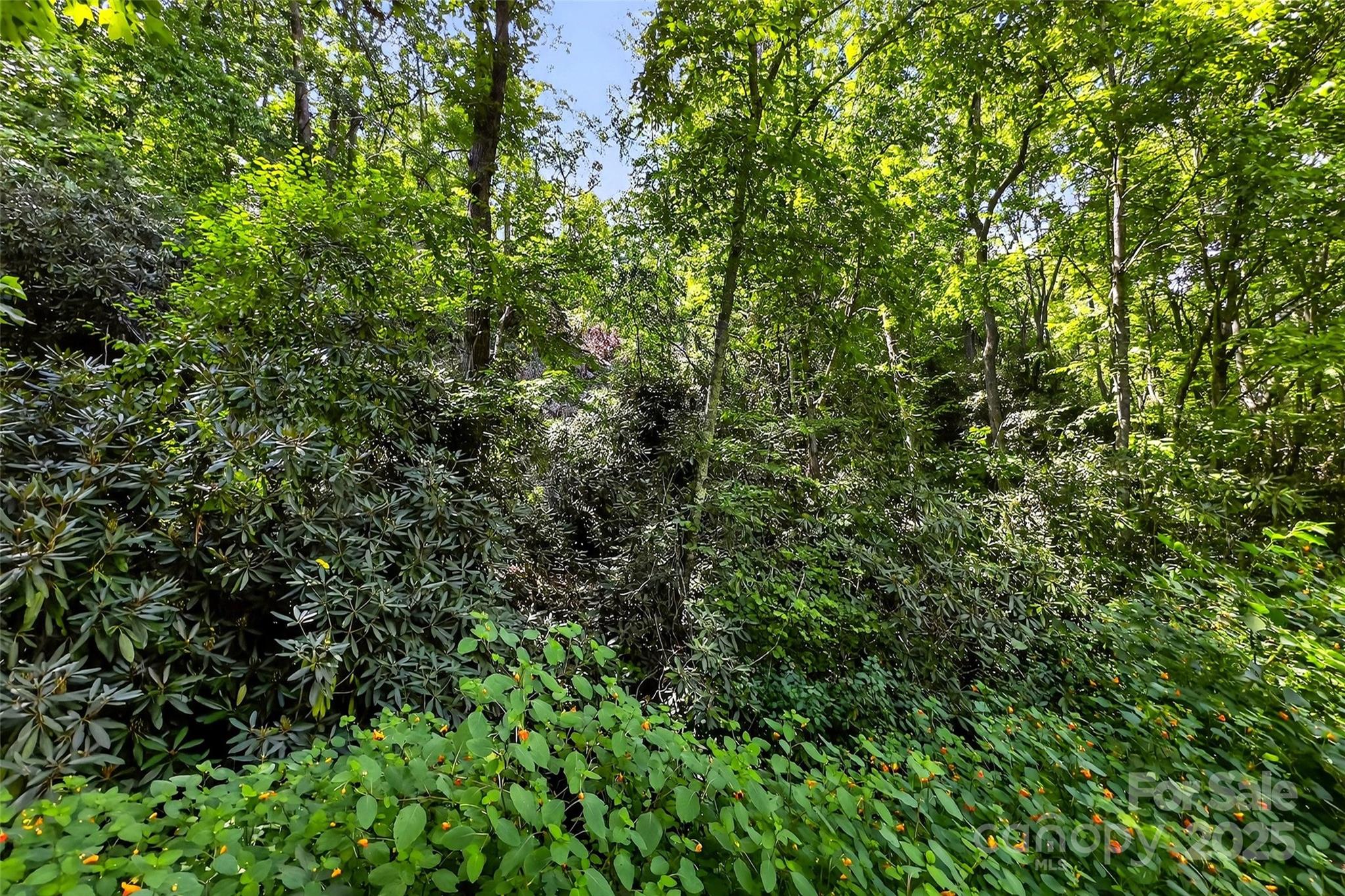 99999 Yates Avenue Black Mountain NC 28711