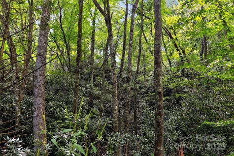 99999 Yates Avenue Black Mountain NC 28711