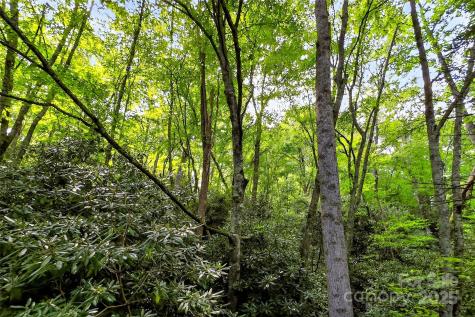 99999 Yates Avenue Black Mountain NC 28711