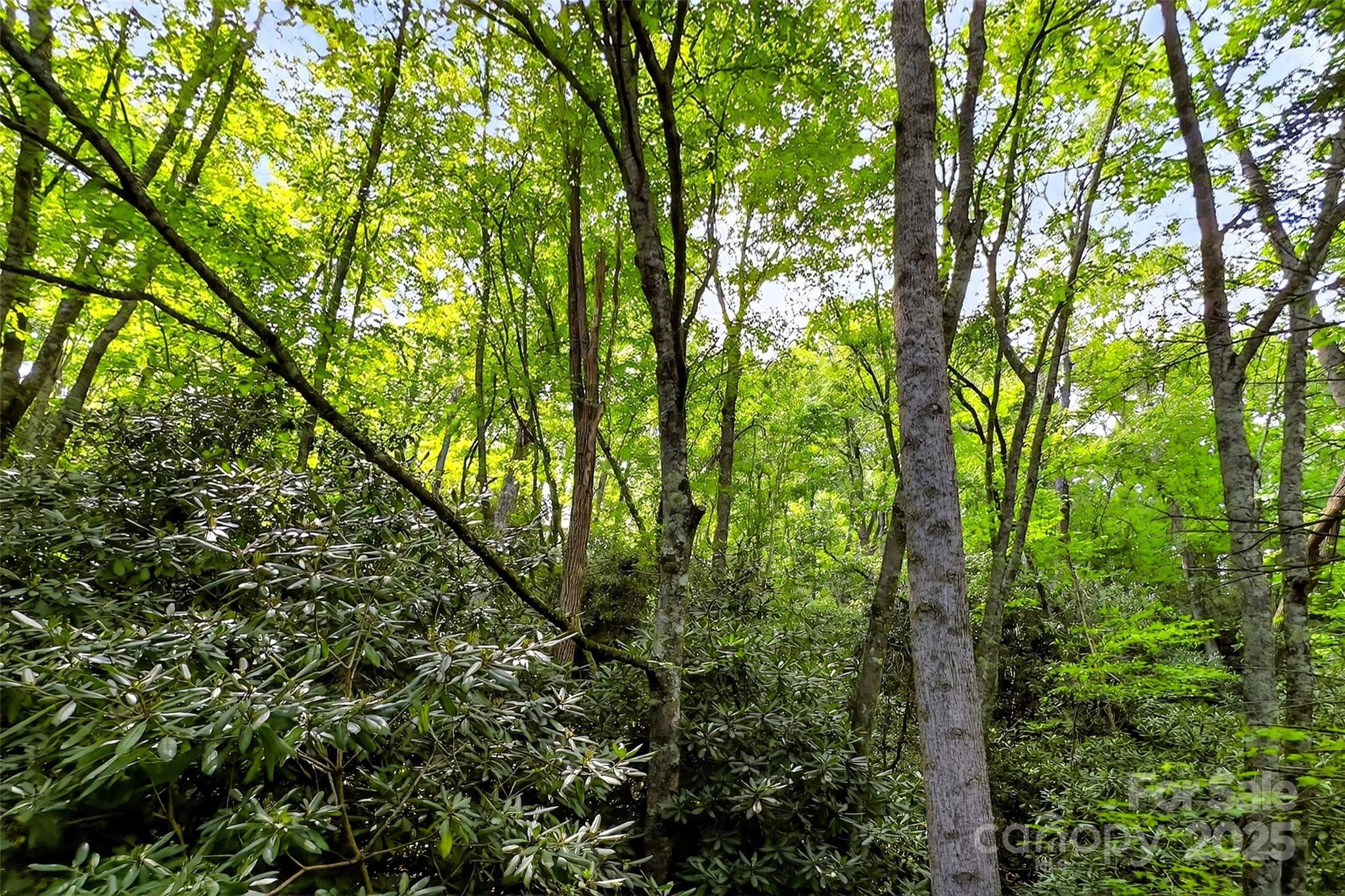 99999 Yates Avenue Black Mountain NC 28711