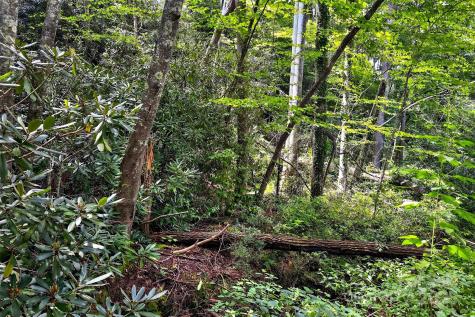 99999 Yates Avenue Black Mountain NC 28711
