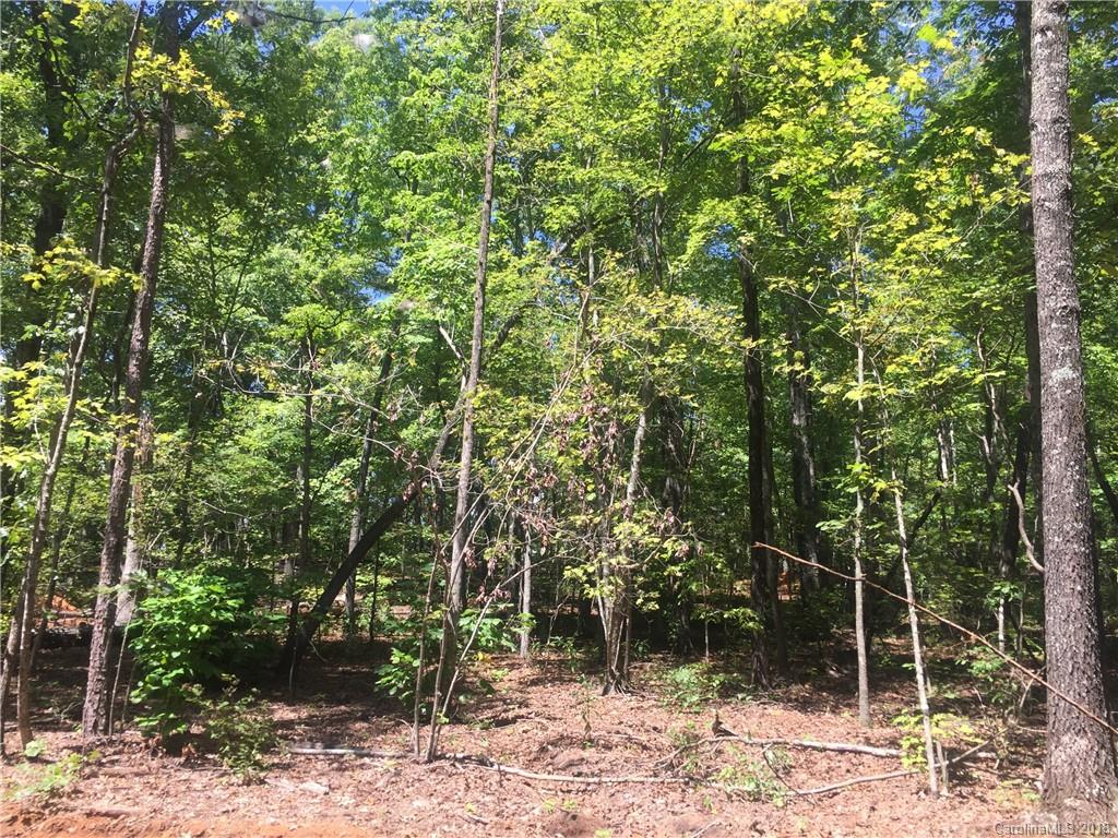 95 Little Woods Lane Old Fort NC 28762