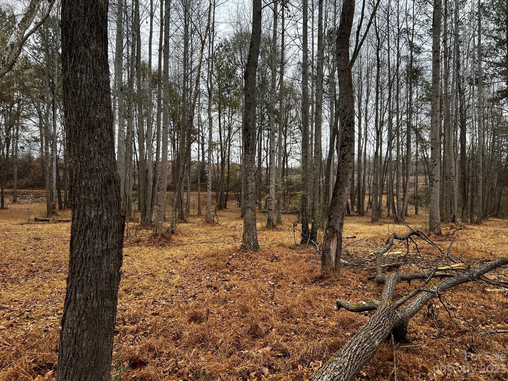 Lot 155 Lookout Dam Road Statesville NC 28625