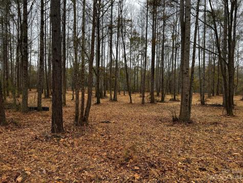 Lot 155 Lookout Dam Road Statesville NC 28625