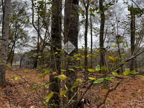 Lot 155 Lookout Dam Road Statesville NC 28625