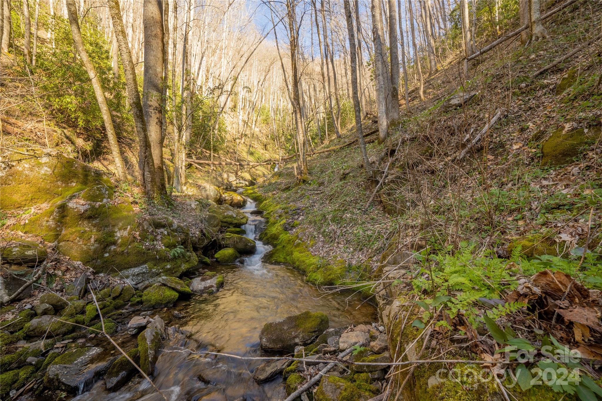 00 Buff Creek Road Sylva NC 28779