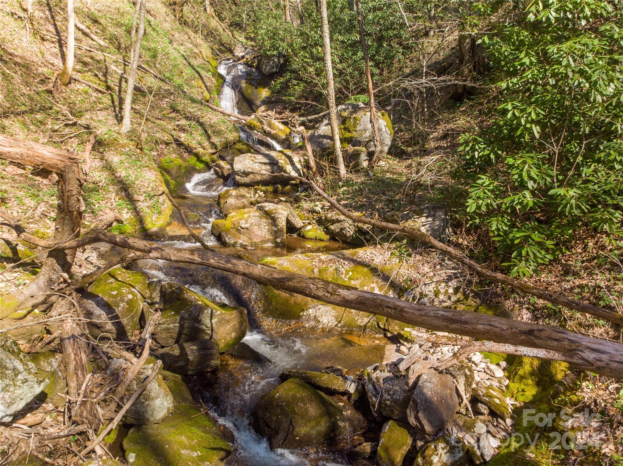 00 Buff Creek Road Sylva NC 28779