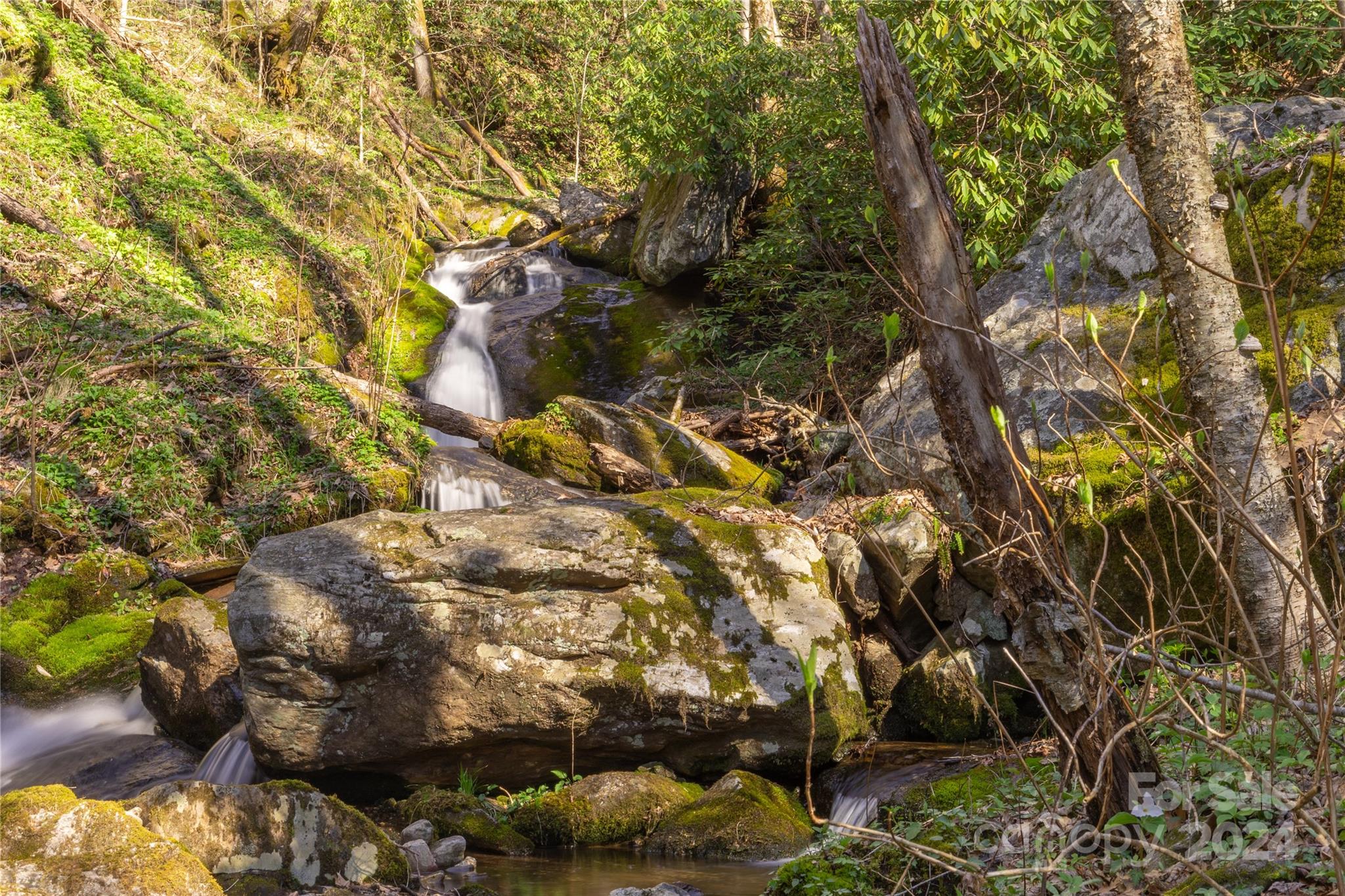 00 Buff Creek Road Sylva NC 28779