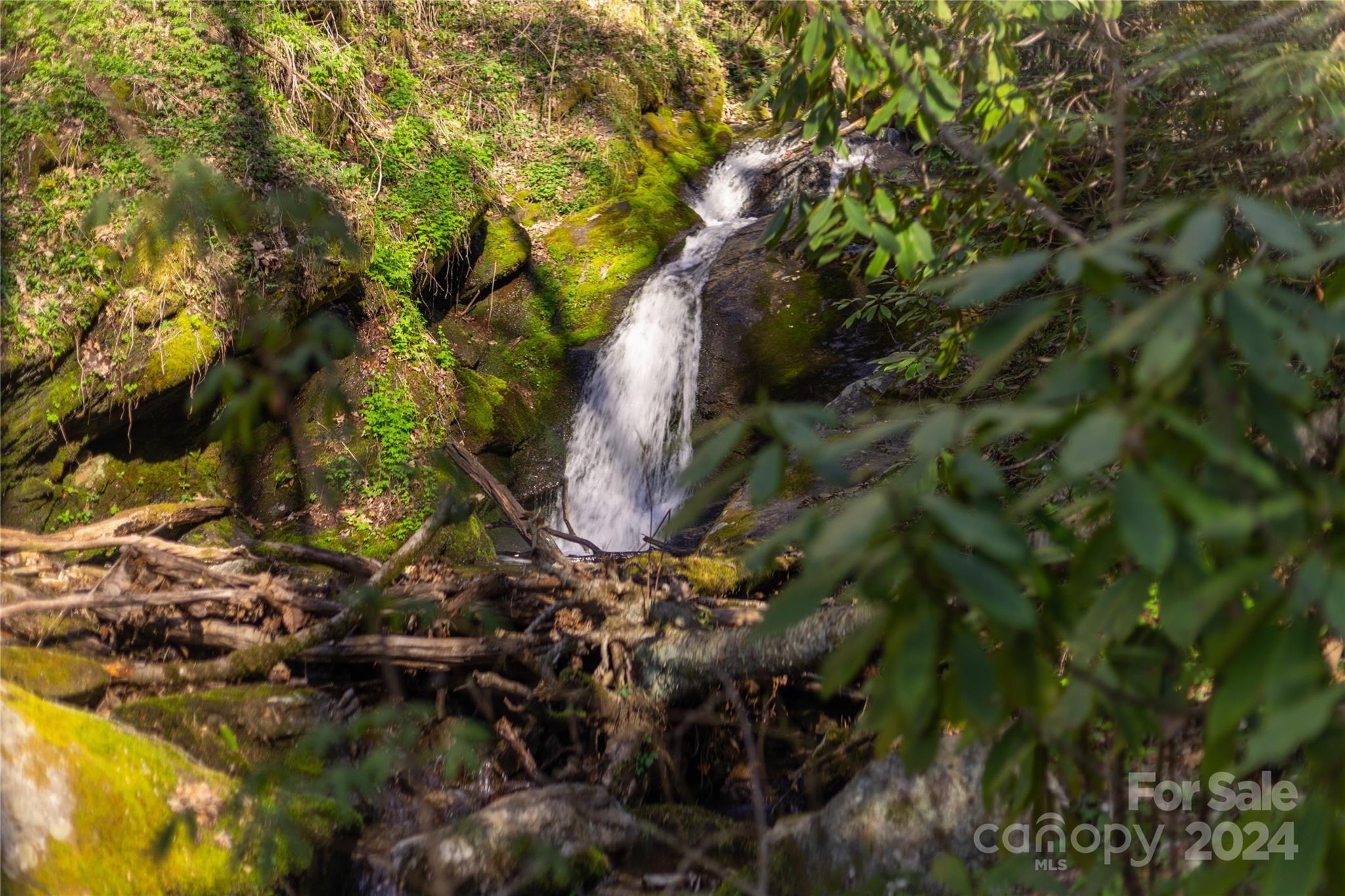 00 Buff Creek Road Sylva NC 28779