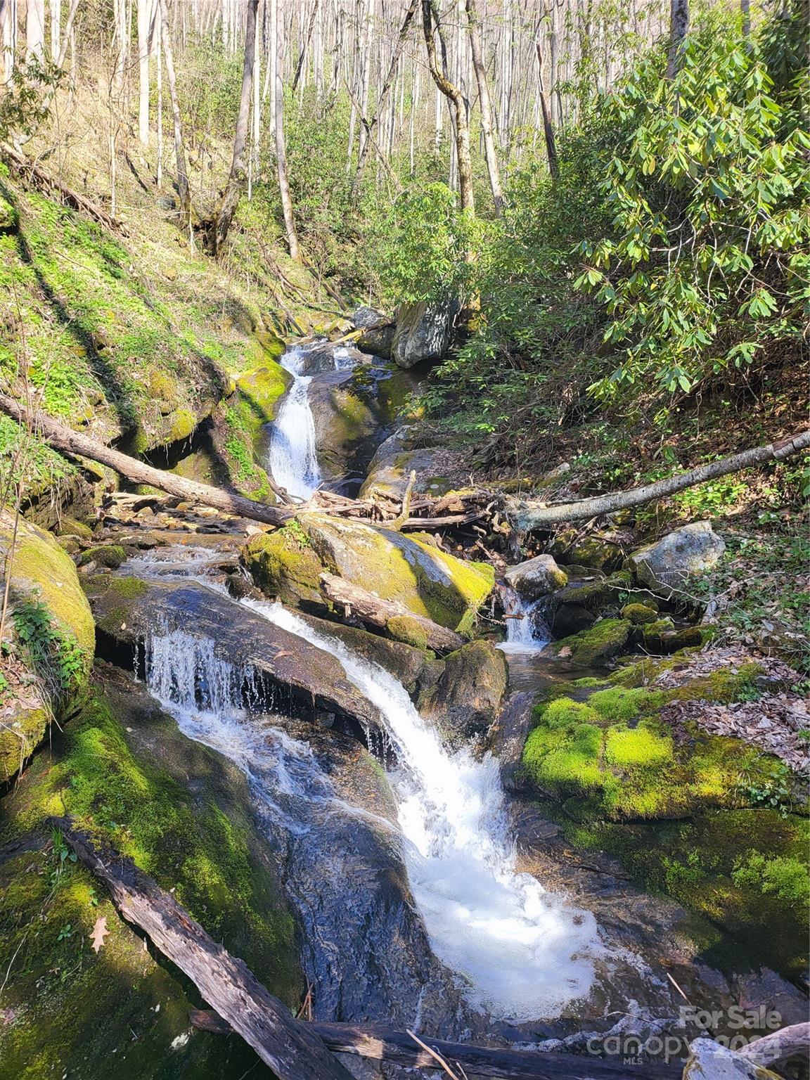 00 Buff Creek Road Sylva NC 28779