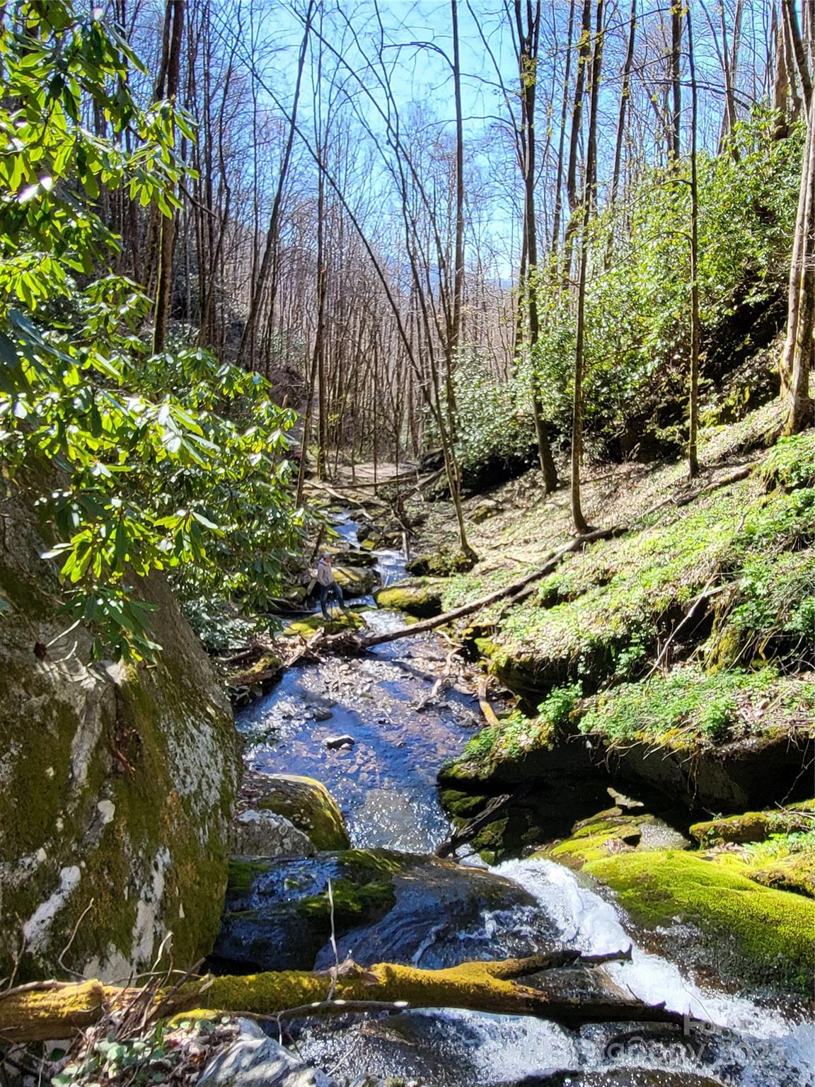 00 Buff Creek Road Sylva NC 28779