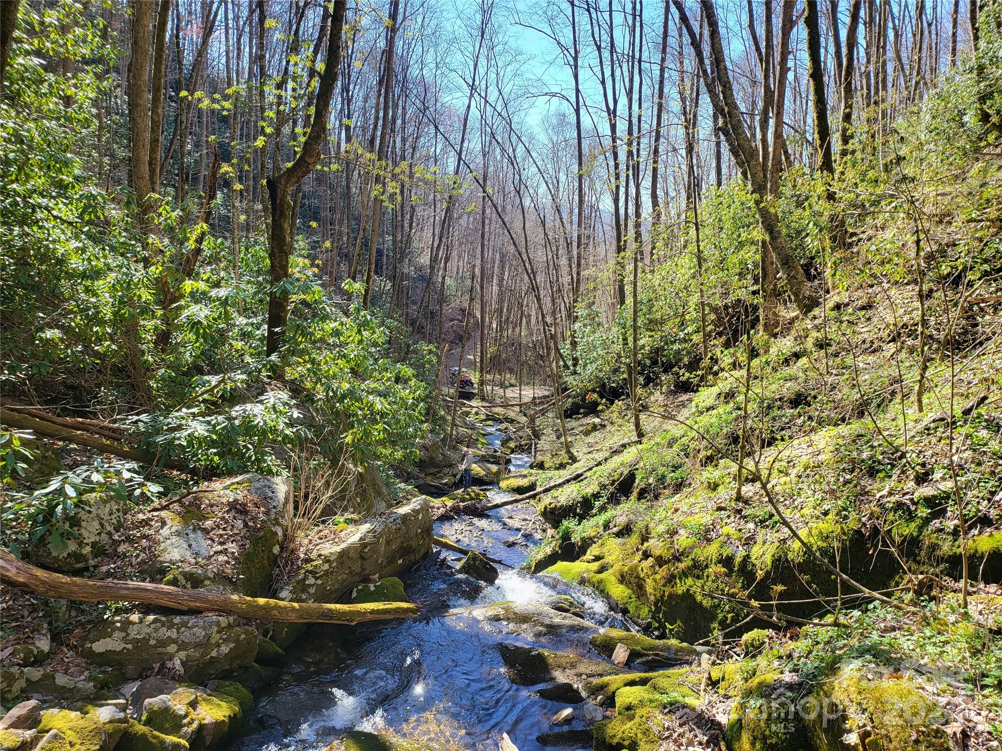 00 Buff Creek Road Sylva NC 28779