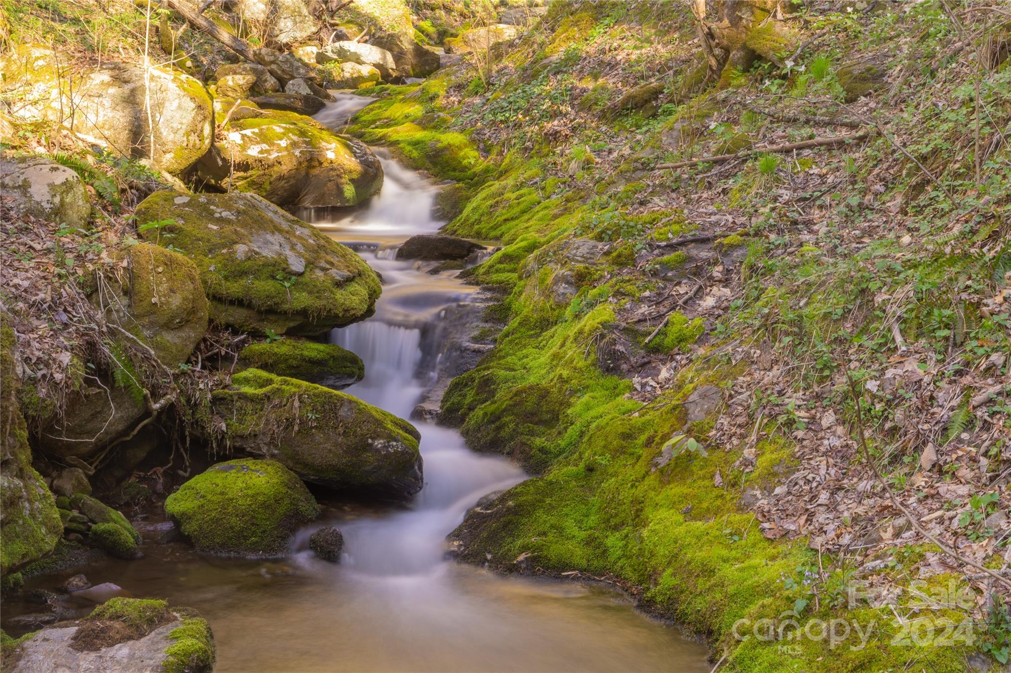00 Buff Creek Road Sylva NC 28779