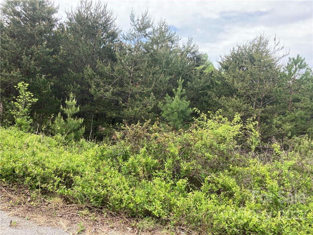 V/l Virginia Ridge Connelly Springs NC 28612