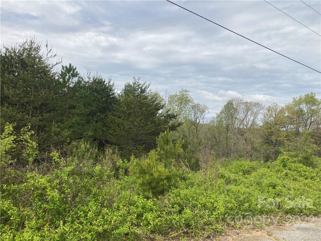 V/l Virginia Ridge Connelly Springs NC 28612