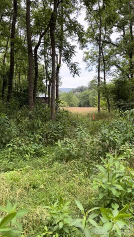 65 Owenby Road Candler NC 28715