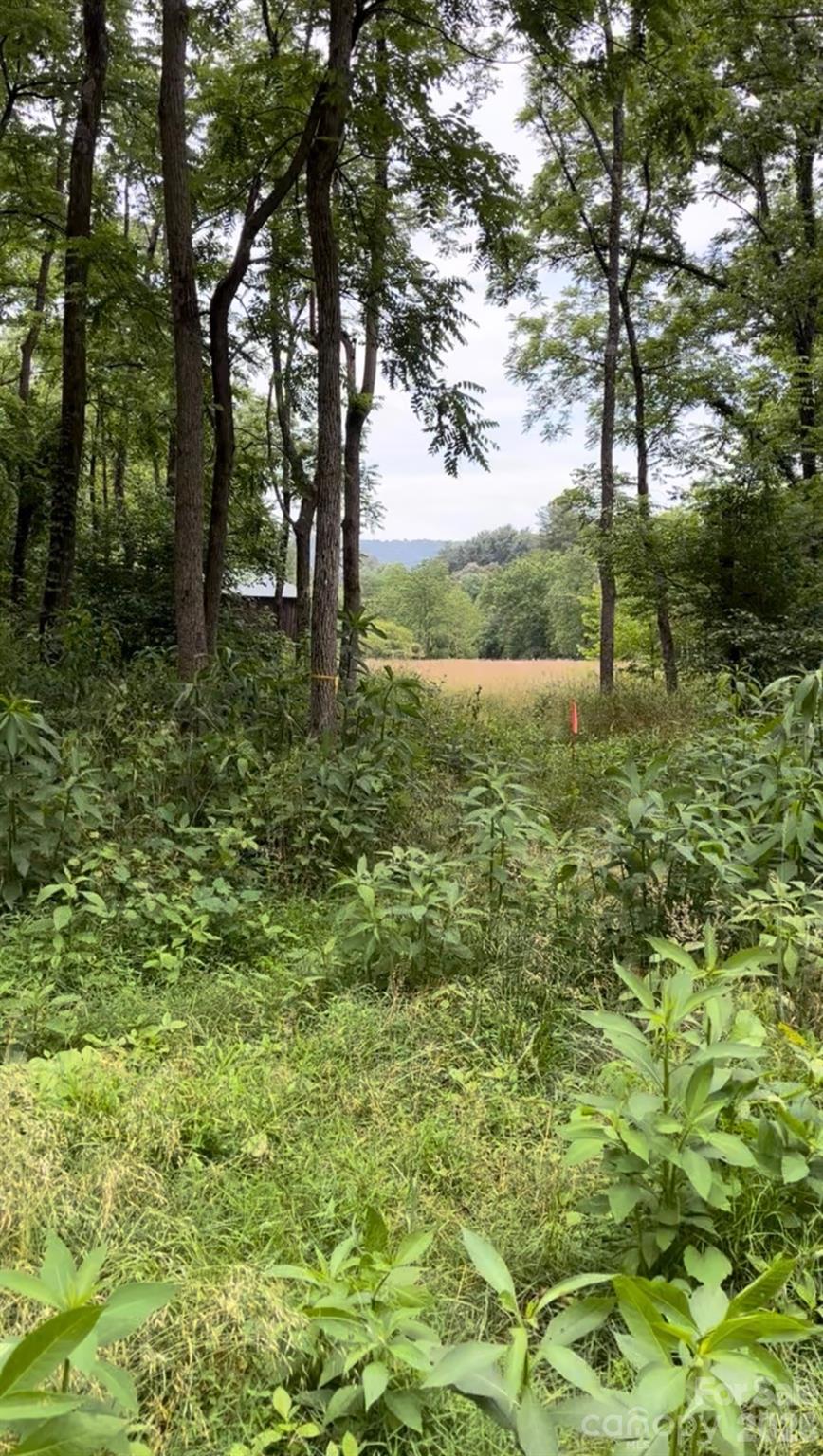 65 Owenby Road Candler NC 28715