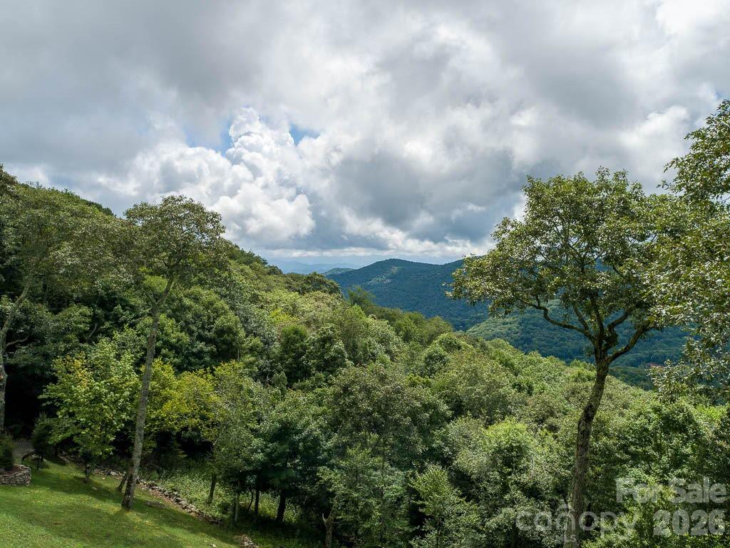 366 Birch Springs Lane Mars Hill NC 28754