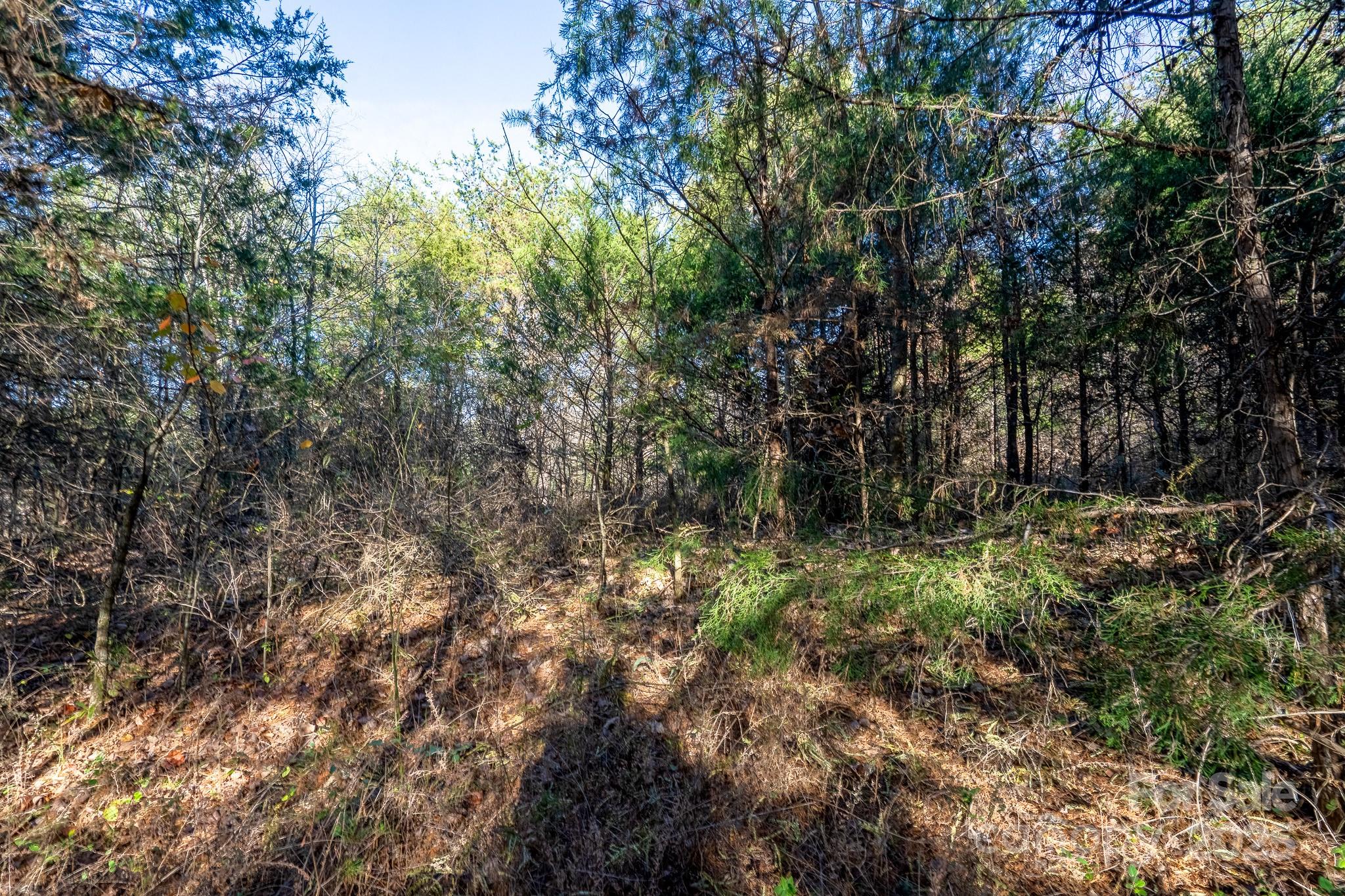 0 China Grove Highway Rockwell NC 28138