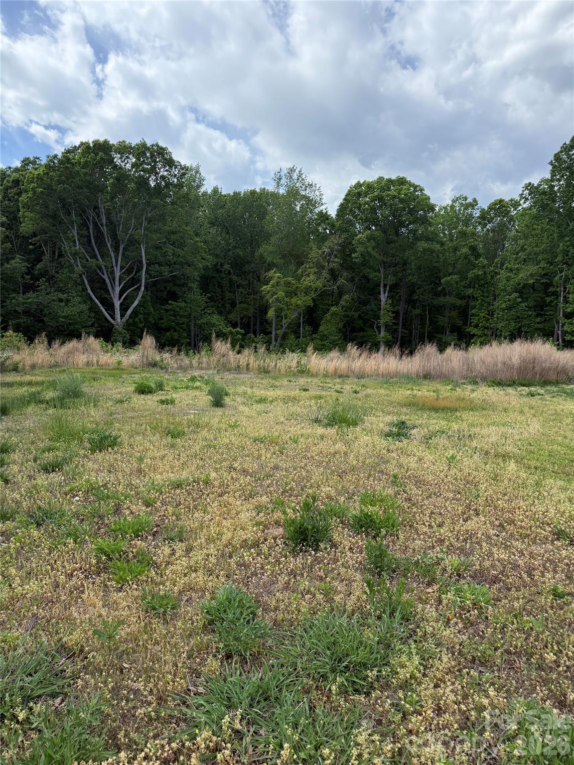 495 Forest View Drive Kannapolis NC 28081