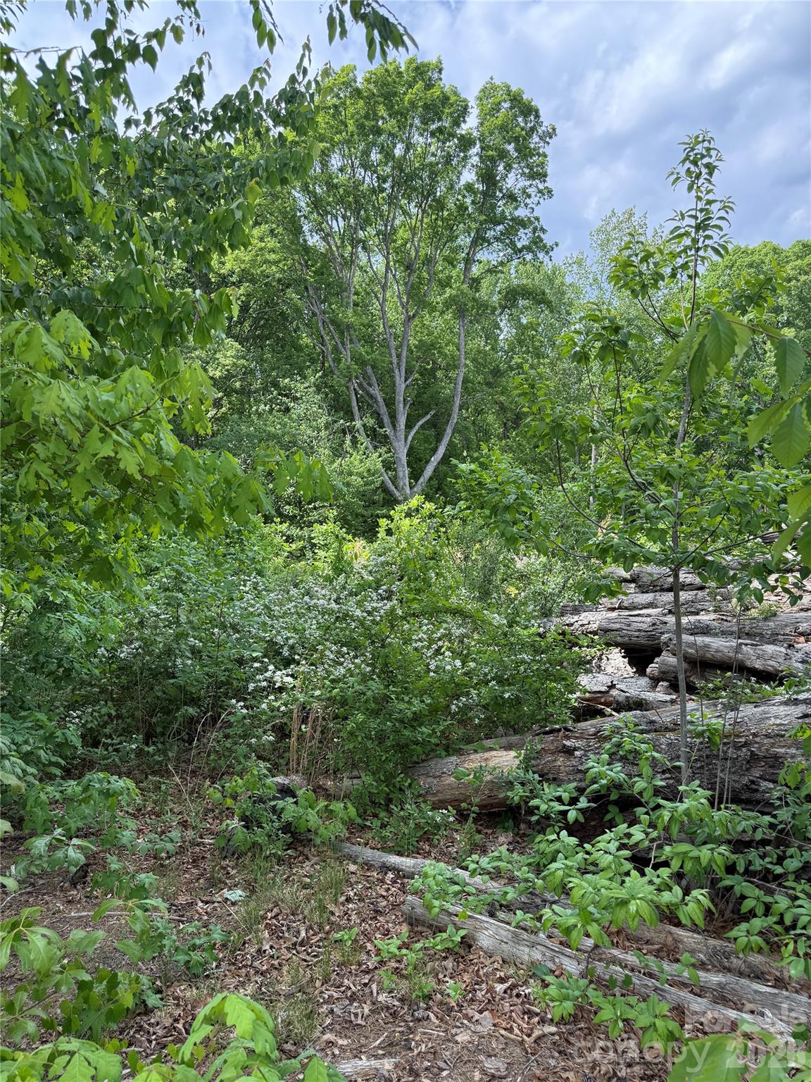 495 Forest View Drive Kannapolis NC 28081