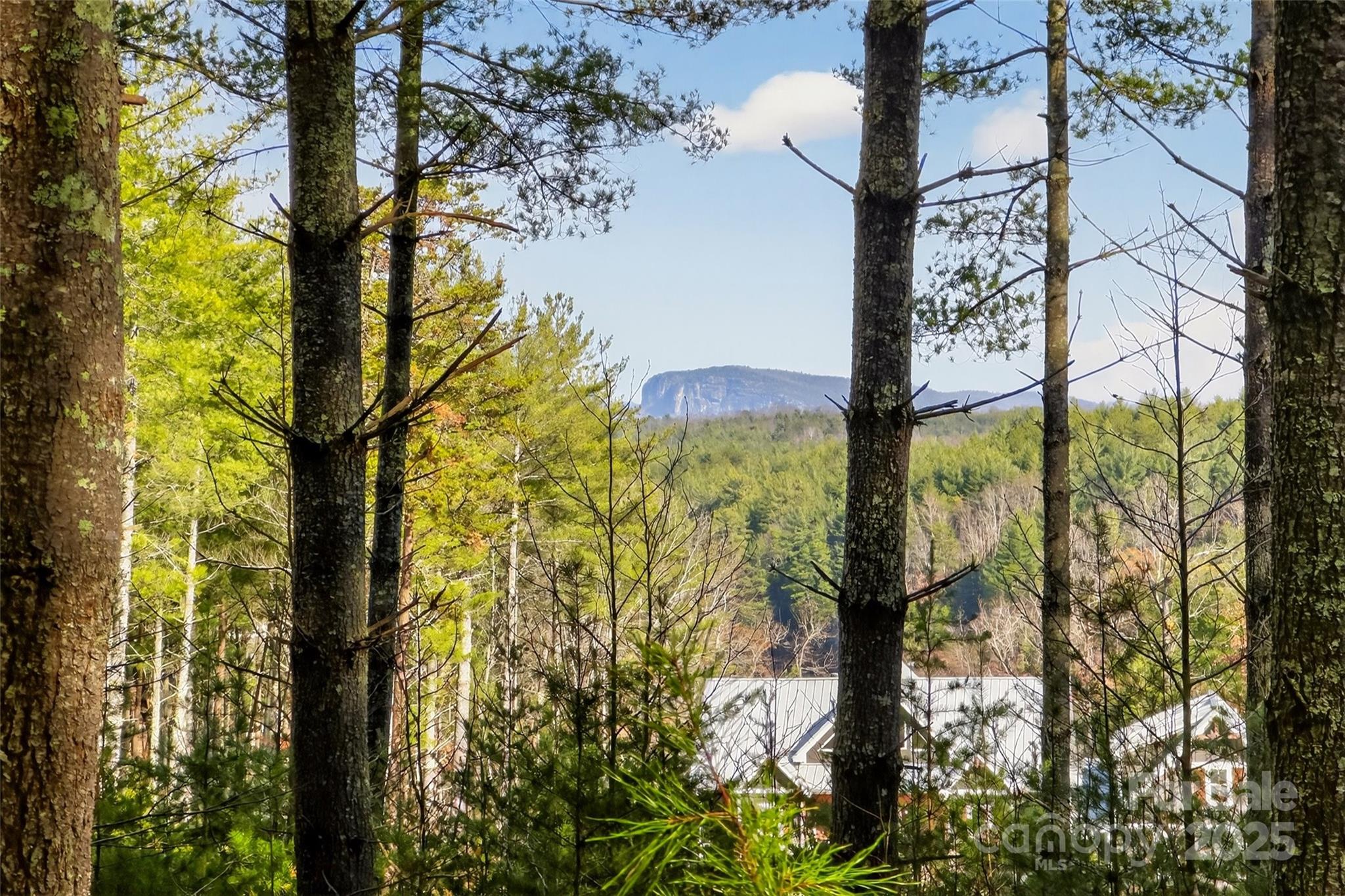 365 Peninsula Reserve Road Nebo NC 28761