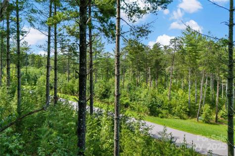 365 Peninsula Reserve Road Nebo NC 28761