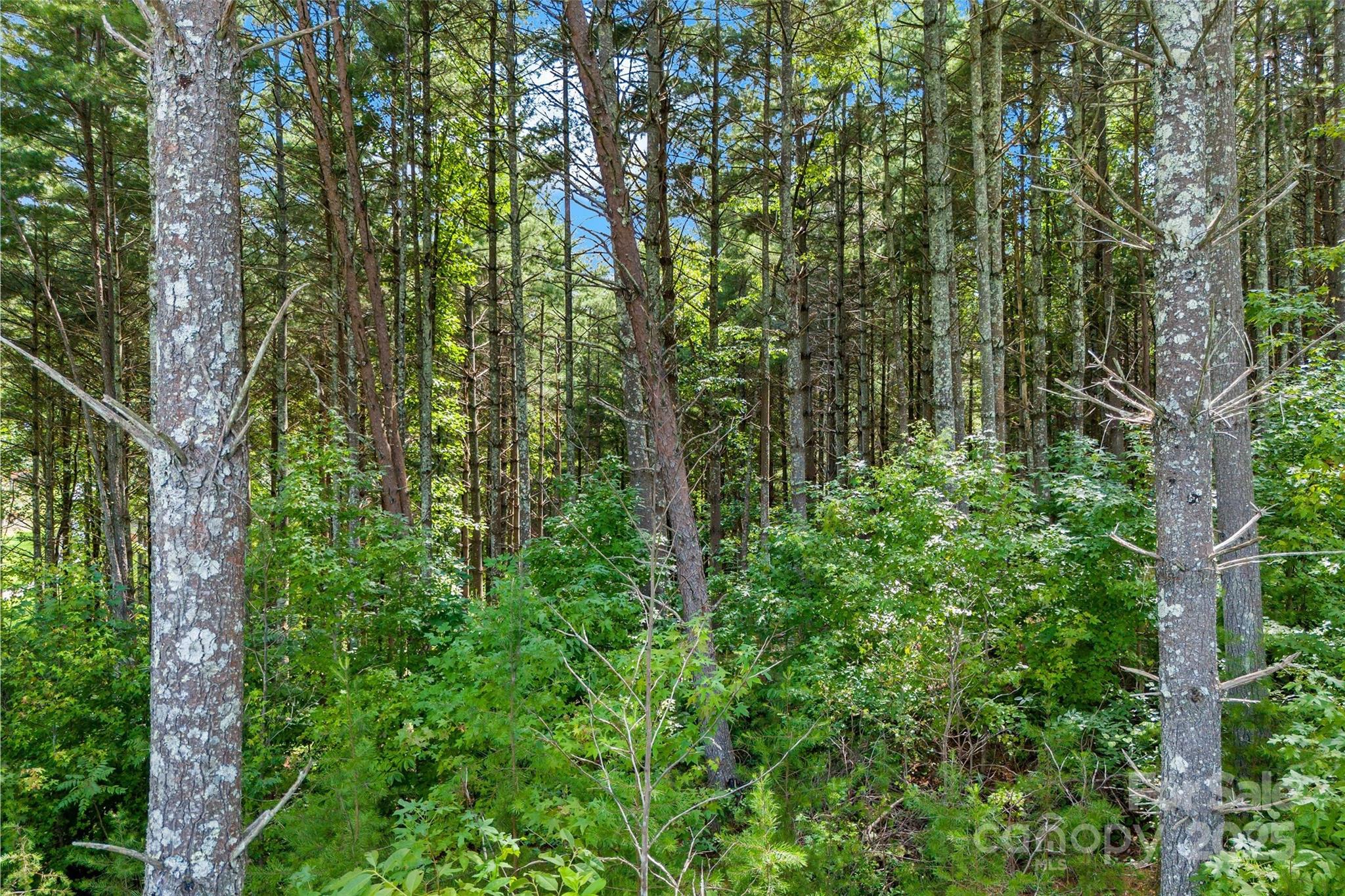365 Peninsula Reserve Road Nebo NC 28761