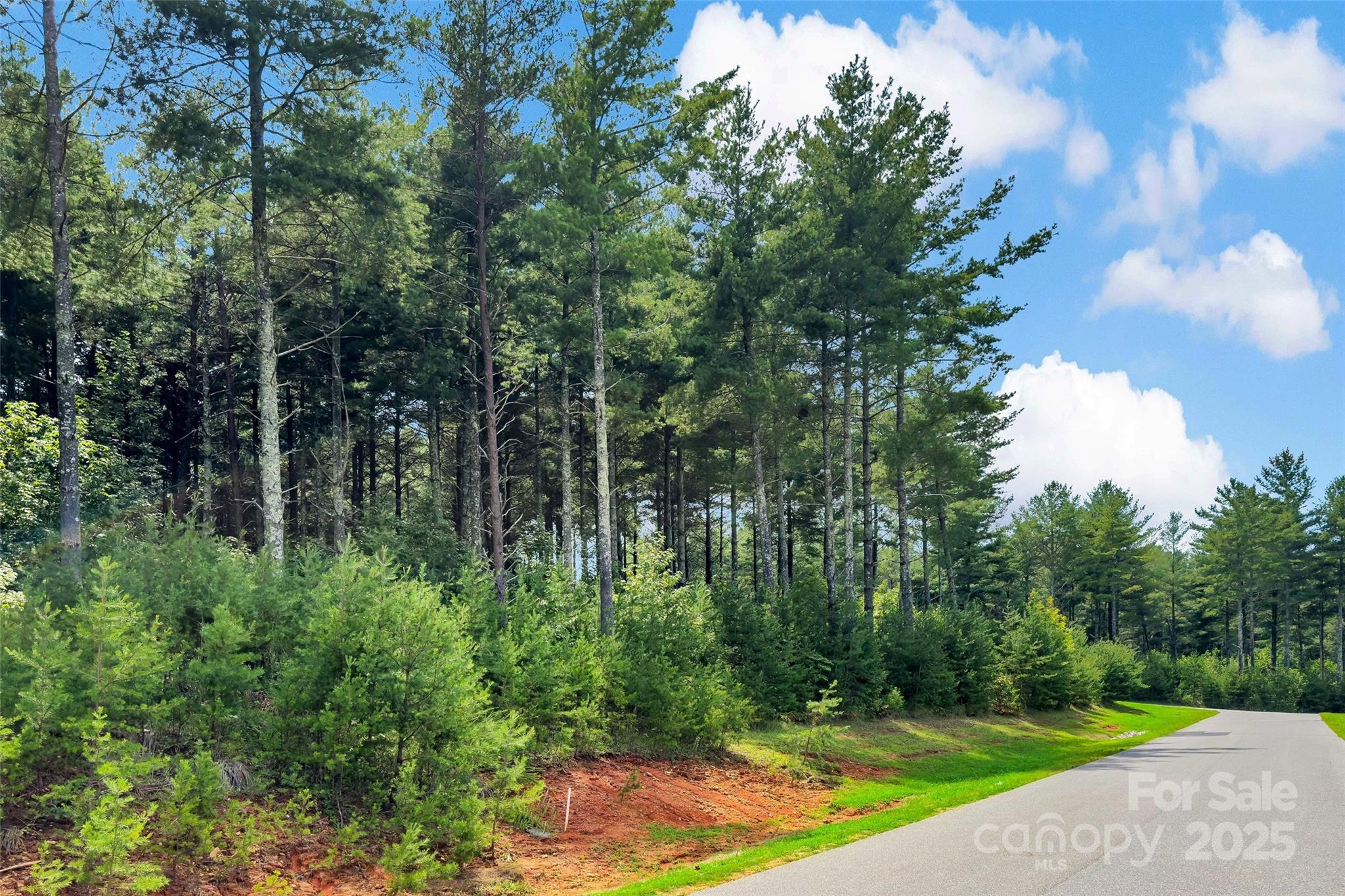 365 Peninsula Reserve Road Nebo NC 28761