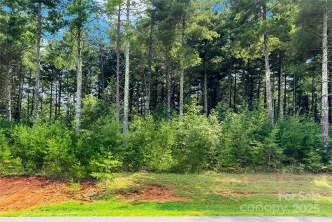 365 Peninsula Reserve Road Nebo NC 28761