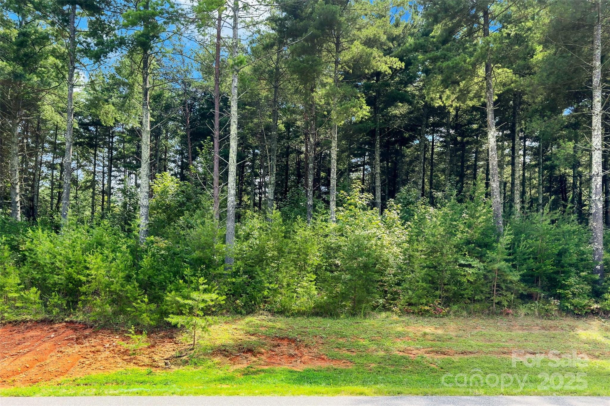 365 Peninsula Reserve Road Nebo NC 28761
