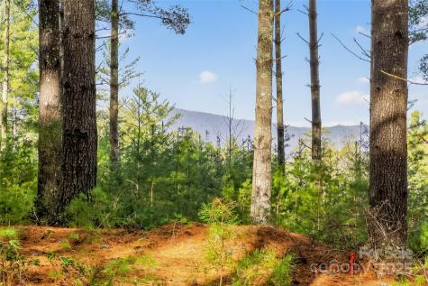 365 Peninsula Reserve Road Nebo NC 28761