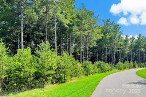 365 Peninsula Reserve Road Nebo NC 28761